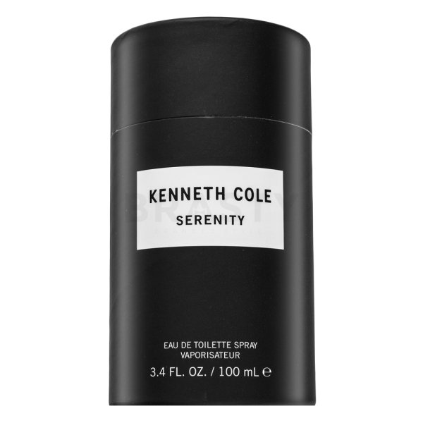 Kenneth Cole Serenity woda toaletowa dla mężczyzn 100 ml