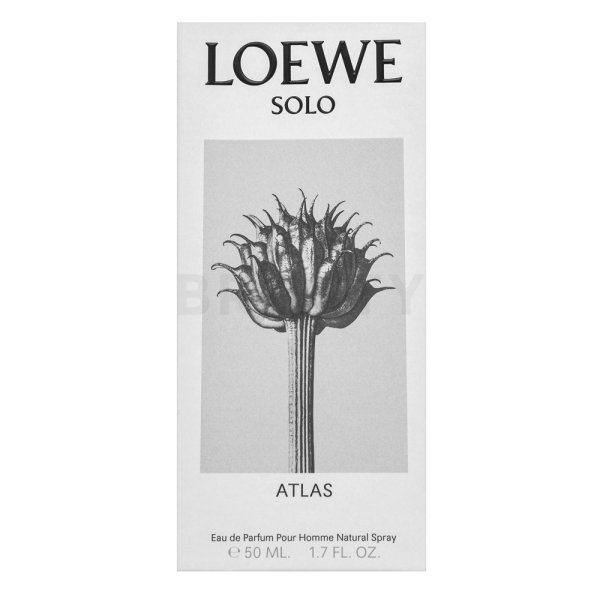 Loewe Solo Atlas Eau de Parfum für Herren 50 ml