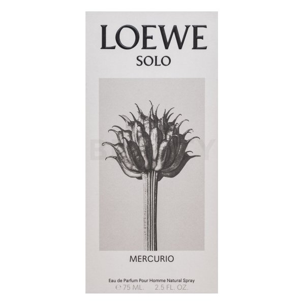 Loewe Solo Loewe Mercurio Eau de Parfum voor mannen 75 ml