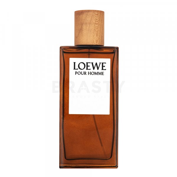 Loewe Pour Homme Eau de Toilette für Herren 100 ml