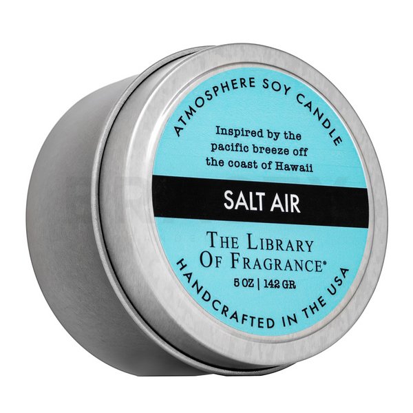 The Library Of Fragrance Salt Air vela perfumada 142 g