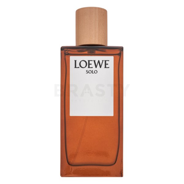 Loewe Solo Loewe Pour Homme Eau de Toilette voor mannen 100 ml