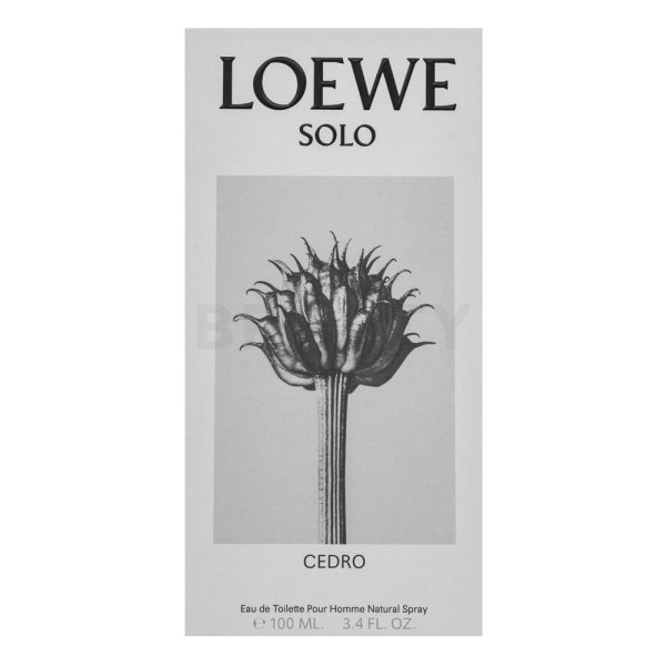 Loewe Solo Loewe Cedro Eau de Toilette para hombre 100 ml