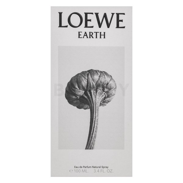 Loewe Earth woda perfumowana unisex 100 ml