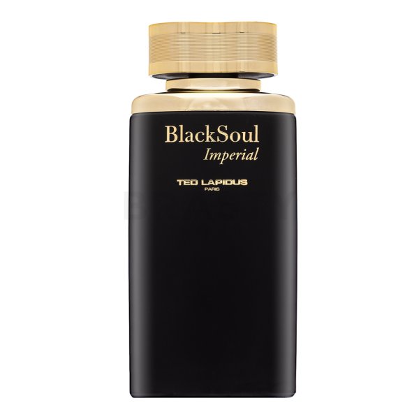 Ted Lapidus Black Soul Imperial toaletní voda pro muže Extra Offer 4 100 ml