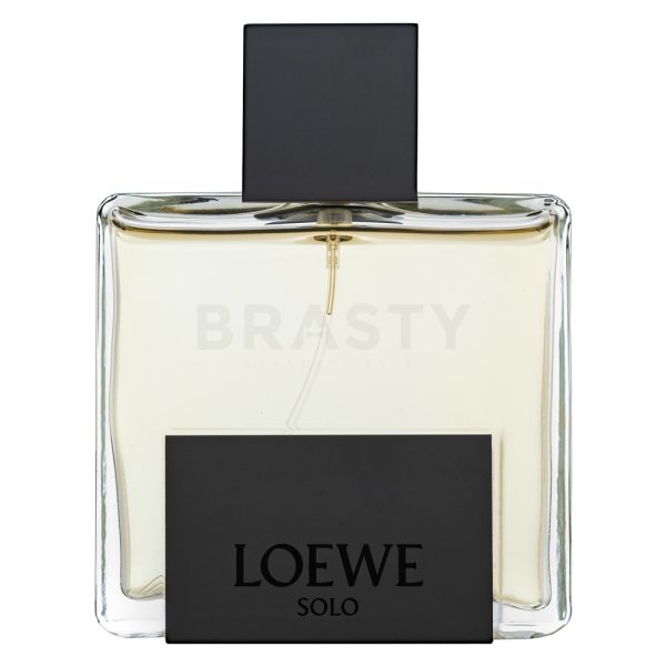 Loewe Solo Loewe Mercurio parfémovaná voda pro muže Extra Offer 2 100 ml