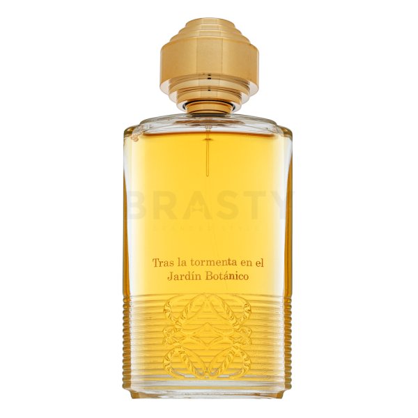 Loewe Tras La Tormenta Jardin Botanico parfémovaná voda unisex Extra Offer 3 100 ml