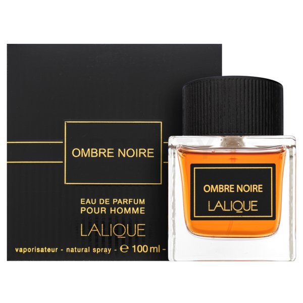 Lalique Ombre Noire parfémovaná voda pro muže Extra Offer 3 100 ml