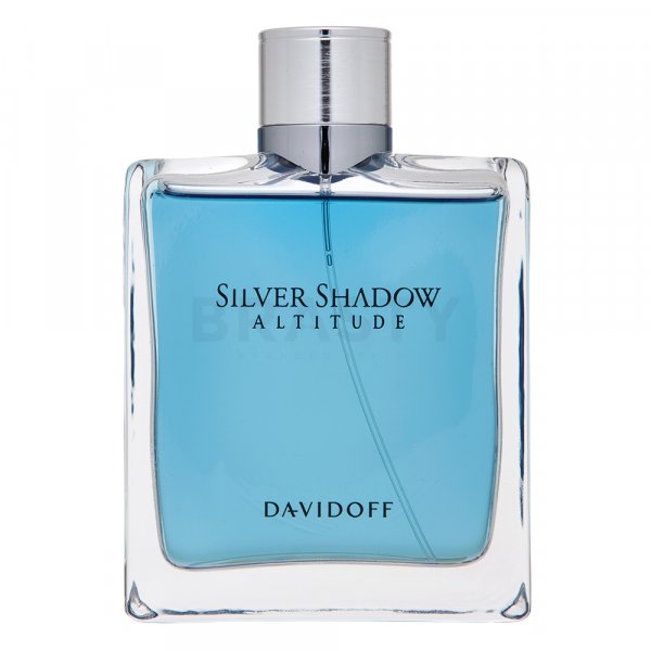 Davidoff Silver Shadow Altitude toaletná voda pre mužov 100 ml