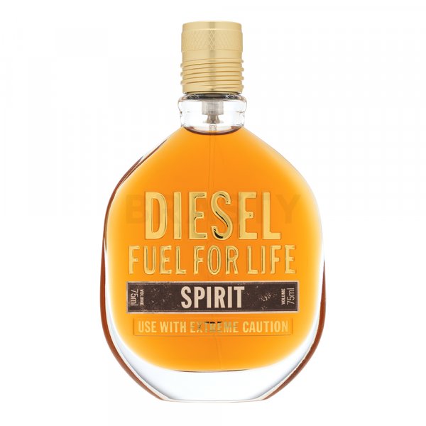 Diesel Fuel for Life Spirit toaletní voda pro muže 75 ml