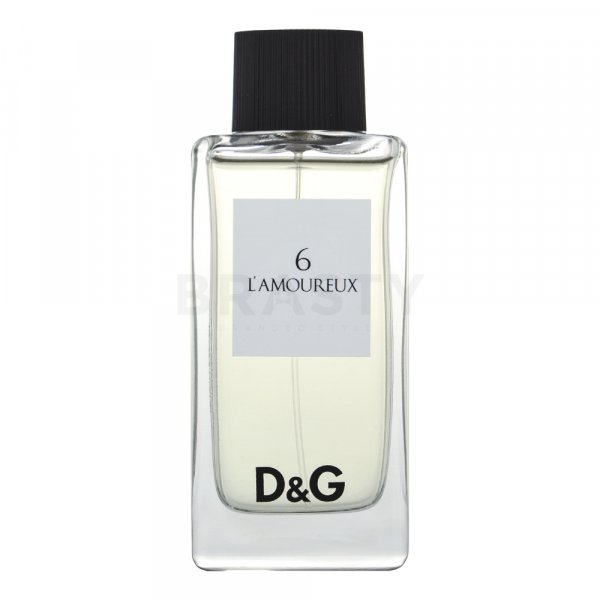 Dolce & Gabbana D&G L'Amoureaux 6 toaletní voda pro muže 100 ml