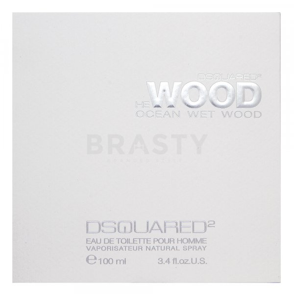 Dsquared2 He Wood Ocean Wet Wood toaletní voda pro muže 100 ml