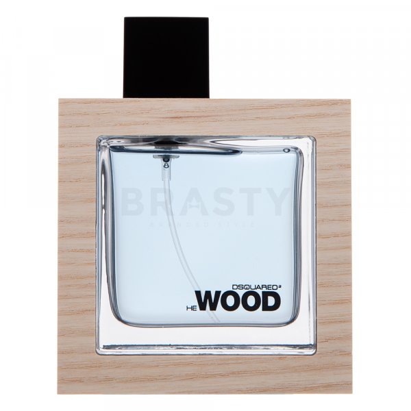 Dsquared2 He Wood Ocean Wet Wood toaletní voda pro muže 50 ml