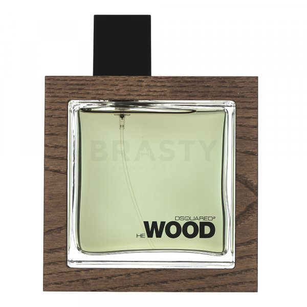 Dsquared2 He Wood Rocky Mountain toaletní voda pro muže 100 ml