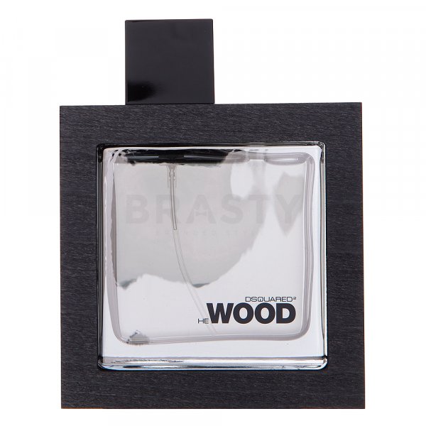 Dsquared2 He Wood Silver Wind Wood toaletní voda pro muže 50 ml