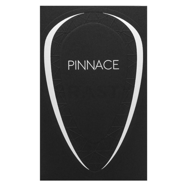 French Avenue Pinnace Noir parfémovaná voda pre mužov 100 ml