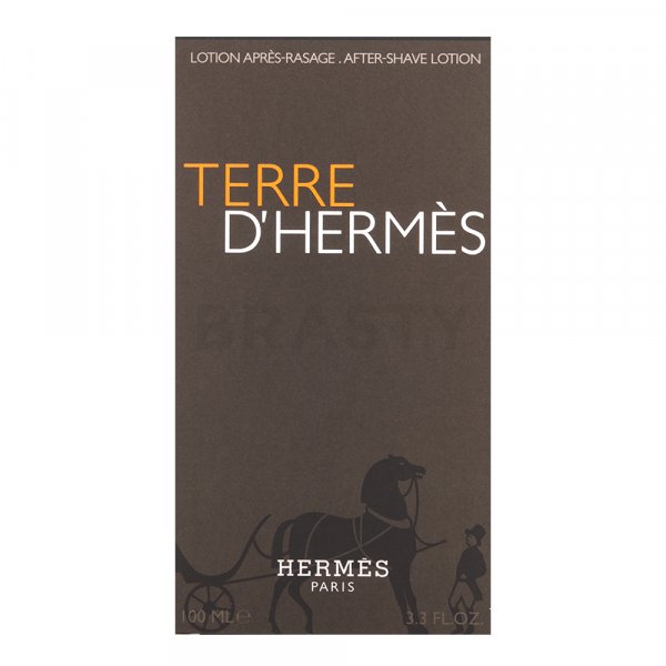 Hermès Terre D'Hermes aftershave voor mannen 100 ml