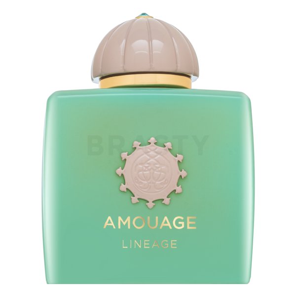 Amouage Lineage Eau de Parfum da uomo 100 ml