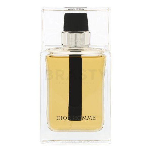 Dior (Christian Dior) Dior Homme 2011 toaletná voda pre mužov 100 ml