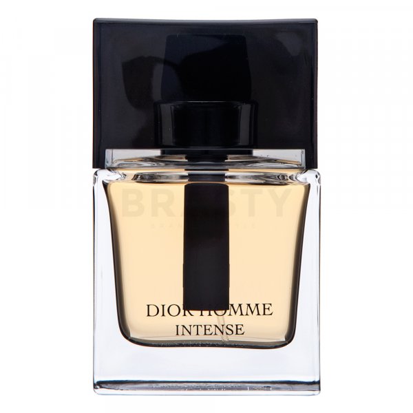 Dior (Christian Dior) Dior Homme Intense 2011 parfémovaná voda pre mužov 50 ml