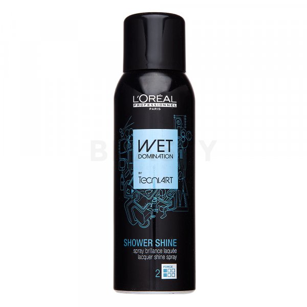 L´Oréal Professionnel Tecni.Art Shower Shine Spray lakier do włosów do włosów bez połysku 160 ml