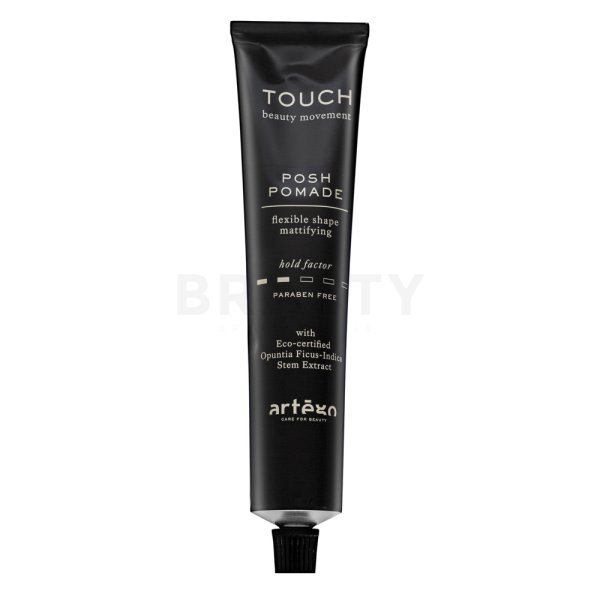 Artègo Touch Posh Pomade Flexible Shape Mattifying pomada do włosów dla uzyskania matowego efektu 100 ml