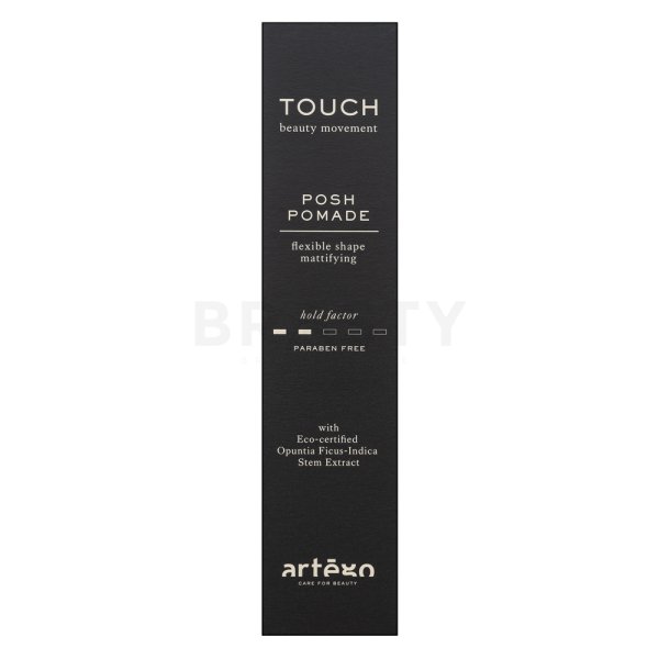 Artègo Touch Posh Pomade Flexible Shape Mattifying pomada do włosów dla uzyskania matowego efektu 100 ml