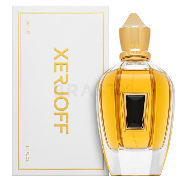 Xerjoff 17/17 Homme czyste perfumy dla mężczyzn 100 ml