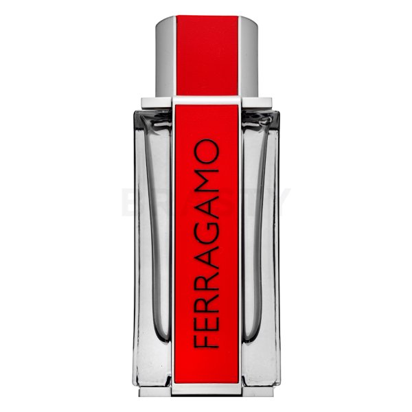 Salvatore Ferragamo Ferragamo Red Leather Eau de Parfum voor mannen 100 ml