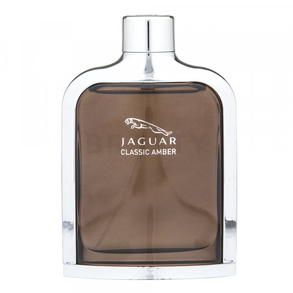 Jaguar Classic Amber toaletná voda pre mužov 100 ml