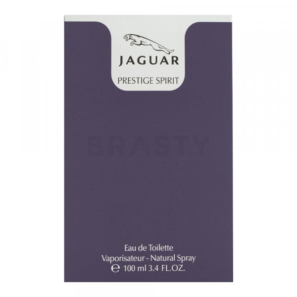 Jaguar Prestige Spirit toaletná voda pre mužov 100 ml