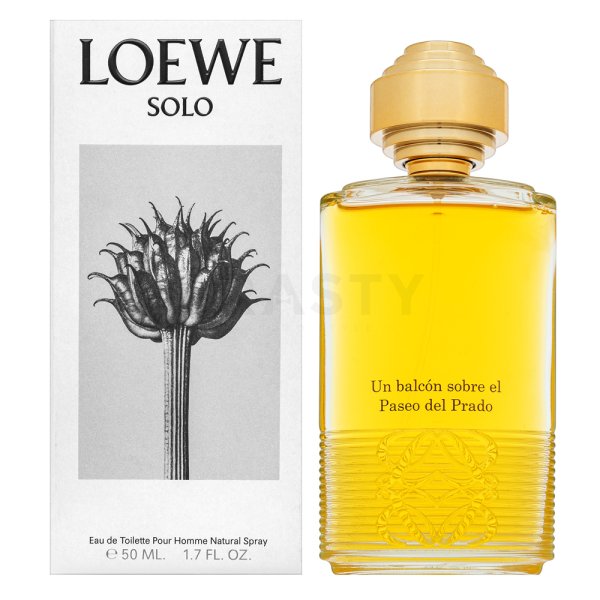 Loewe Un Balcón Sobre El Paseo Del Prado parfémovaná voda unisex 100 ml