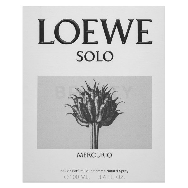 Loewe Solo Loewe Mercurio parfémovaná voda pro muže 100 ml