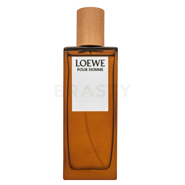 Loewe Pour Homme Eau de Toilette für Herren 50 ml