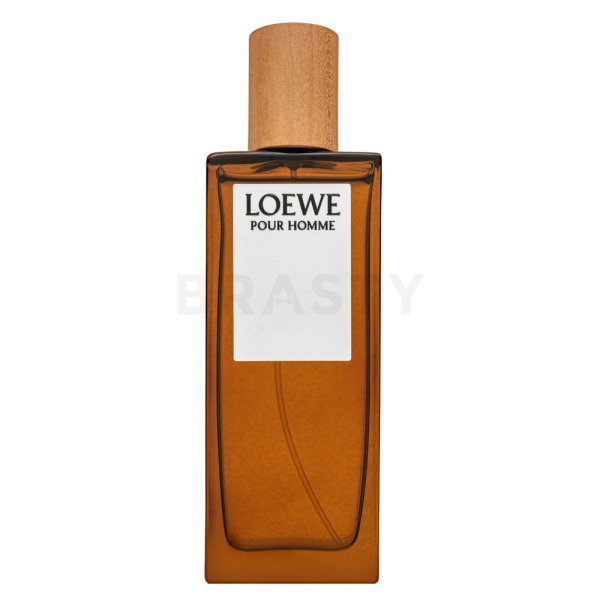 Loewe Pour Homme Toaletna voda za moške 50 ml