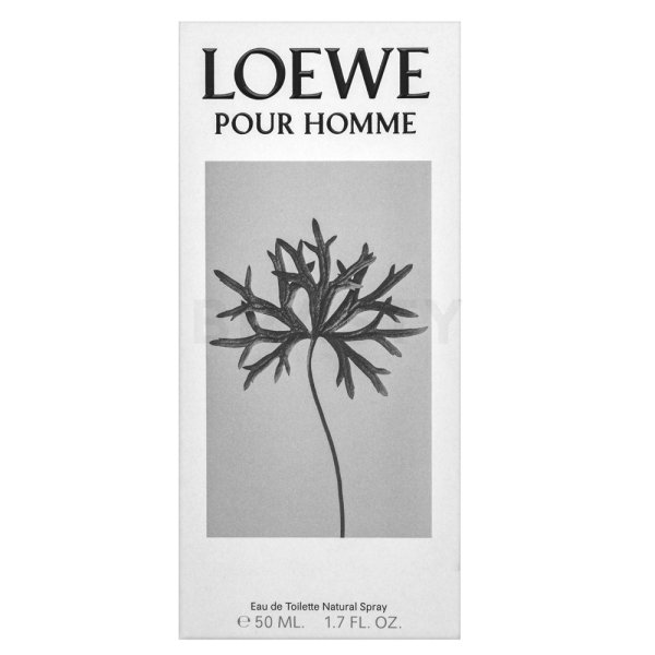 Loewe Pour Homme toaletní voda pro muže 50 ml