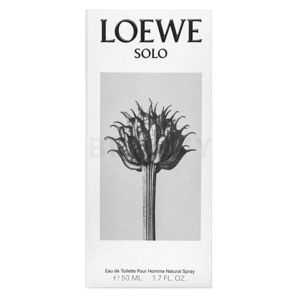 Loewe Solo Loewe Pour Homme Eau de Toilette voor mannen 50 ml