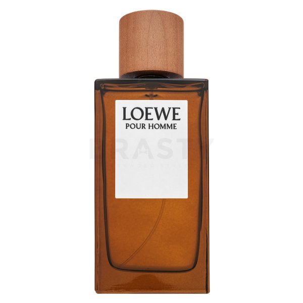 Loewe Pour Homme Eau de Toilette voor mannen 150 ml