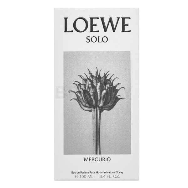 Loewe Solo Mercurio parfémovaná voda pro muže 100 ml