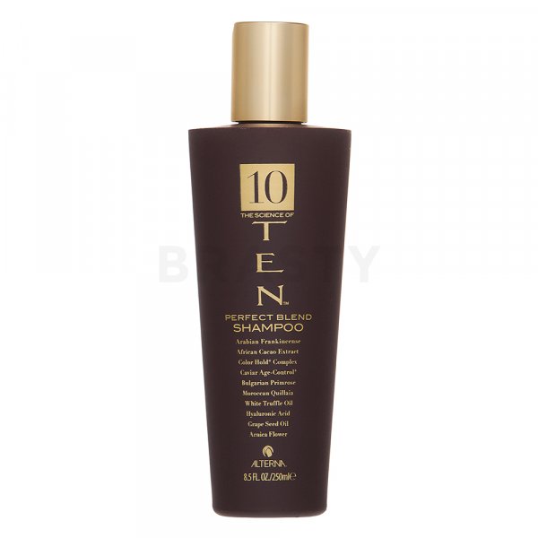 Alterna Ten Perfect Blend Shampoo подхранващ шампоан За всякакъв тип коса 250 ml