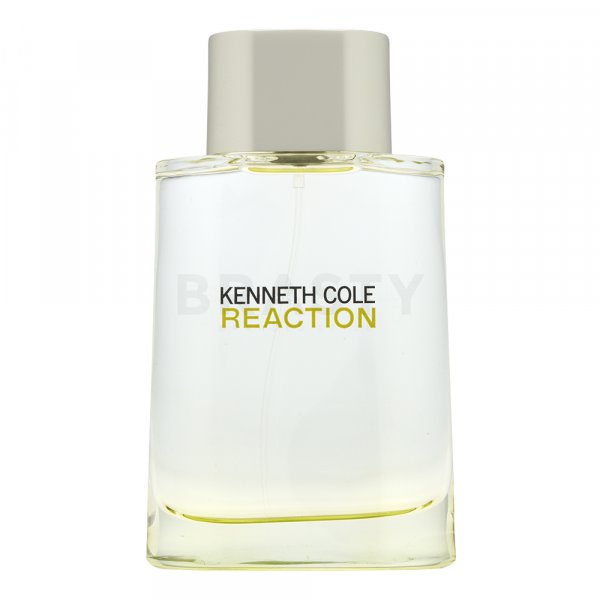 Kenneth Cole Reaction Eau de Toilette for men 100 ml