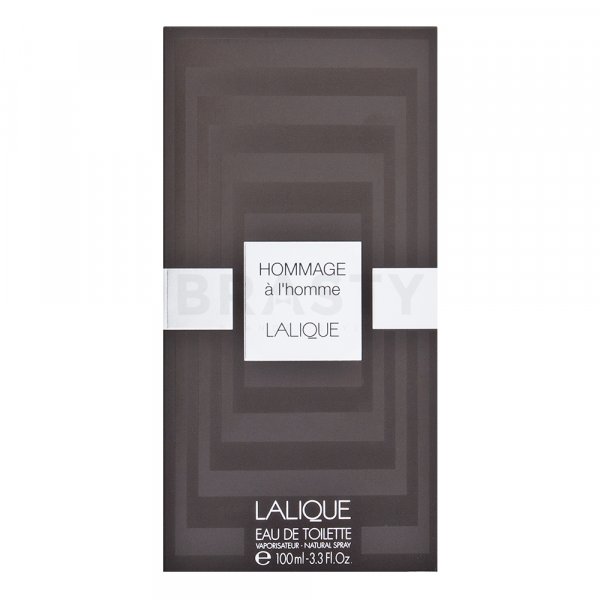 Lalique Hommage a L'Homme Eau de Toilette für Herren 100 ml
