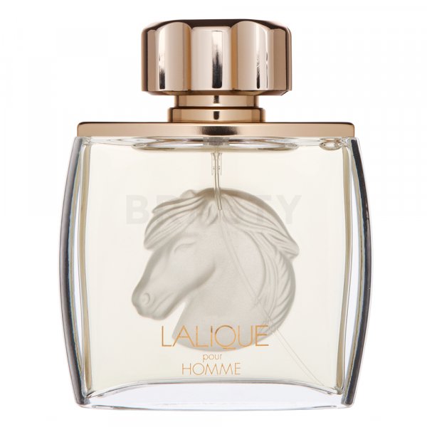 Lalique Pour Homme Equus Eau de Toilette für Herren 75 ml