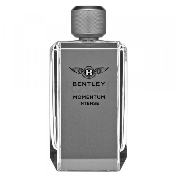 Bentley Momentum Intense parfémovaná voda pre mužov 100 ml