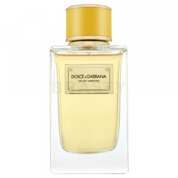 Dolce & Gabbana Velvet Ginestra Eau de Parfum da donna 150 ml