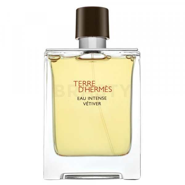 Hermès Terre D'Hermes Eau Intense Vetiver parfémovaná voda pro muže 100 ml