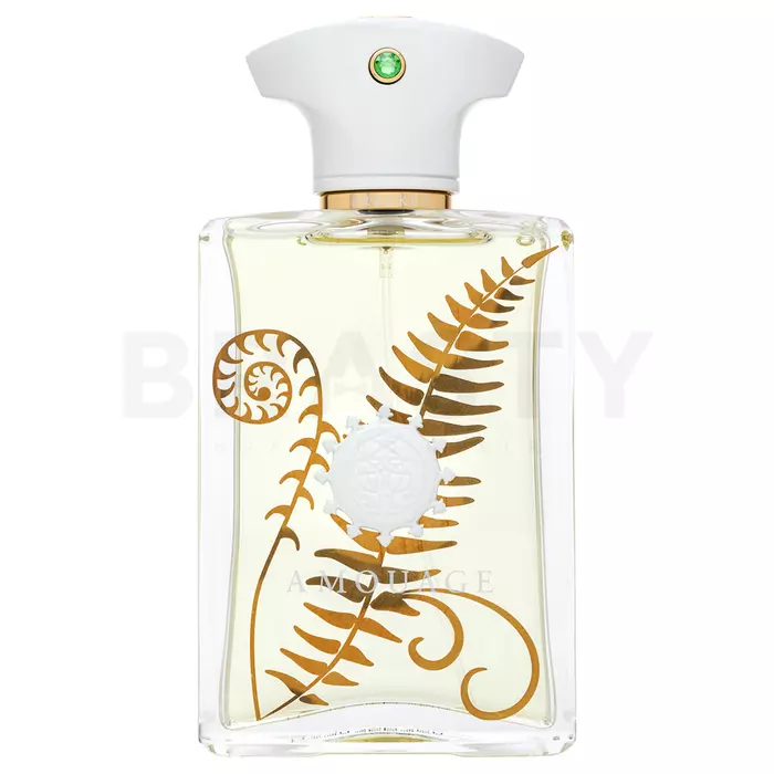 Amouage Bracken parfémovaná voda pro muže 100 ml