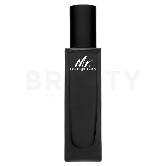Burberry Mr. Burberry parfémovaná voda pro muže 30 ml