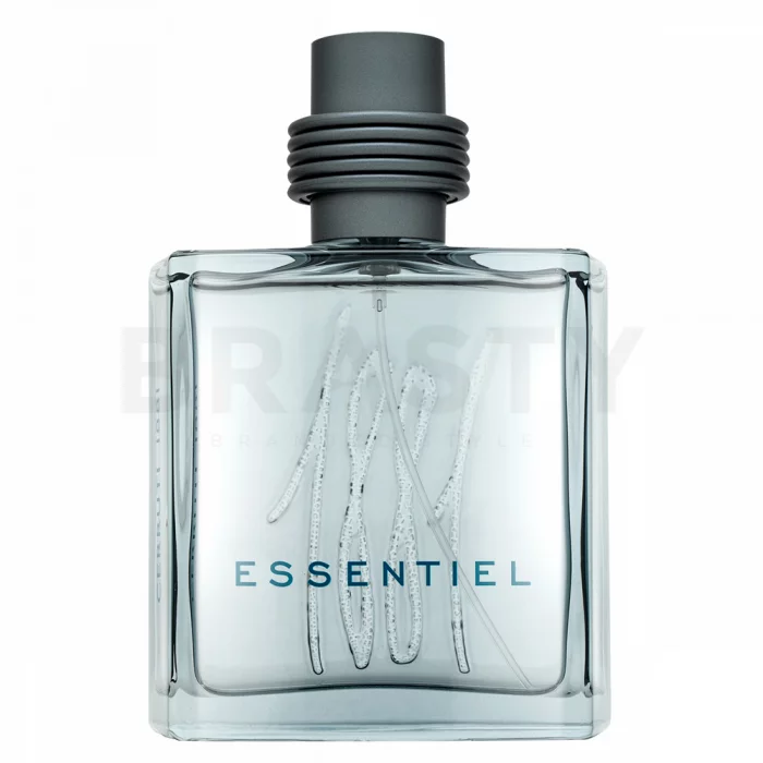Cerruti 1881 Essentiel toaletní voda pro muže 100 ml