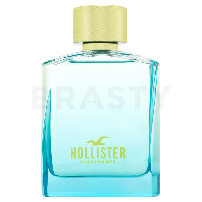 Hollister Wave 2 For Him woda toaletowa dla mężczyzn 100 ml
